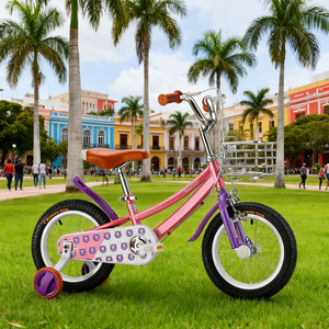 Cadre en aluminium, chaîne en acier, couvre-chaîne et panier, roues de <span class=keywords><strong>train</strong></span> ordinaires, <span class=keywords><strong>vélo</strong></span> pour enfants, vente en gros et personnalisation - Product Image 6