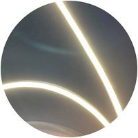 Bande lumineuse LED néon super étroite et sans point 4mm 4x8mm 4x10mm DC24V découpable avec connecteur Dupond
