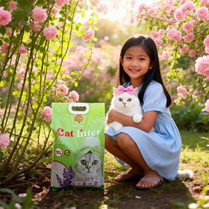 Arena para Gatos Absorbente y Ecológica de Alta Calidad, 8 kg, 99% Libre de Polvo, Aglutinación Rápida, Venta Directa de Fábrica DongnaiPETS - Product Image 1