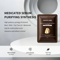 Masque en Feuille d'Argile à l'Acide Salicylique Détoxifiant Précis des Pores, Extracteur de Points Noirs à la Matrice de Bentonite, OEM 25ml Visage & Nez Hypoallergénique