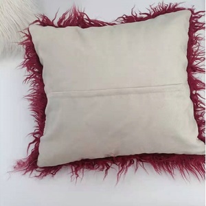 Housse de coussin de canapé en <span class=keywords><strong>fourrure</strong></span>, vente en gros, 40x40cm, housse de coussin de canapé en <span class=keywords><strong>fausse</strong></span> <span class=keywords><strong>fourrure</strong></span>, housse d'oreiller en peluche douce et décorative - Product Image 3