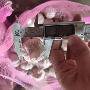 <span class=keywords><strong>Vendita</strong></span> calda della fabbrica 3.0-4.5cm normale bianco fresco aglio bulbi alla rinfusa per la <span class=keywords><strong>vendita</strong></span> di esportazione in Congo - Product Image 3