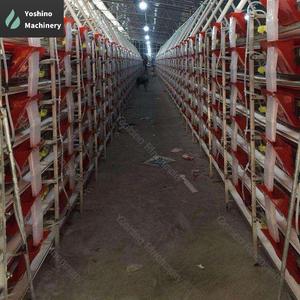 Gabbie automatiche di tipo H a 5 livelli <span class=keywords><strong>per</strong></span> galline ovaiole in allevamento di pollame. - Product Image 5