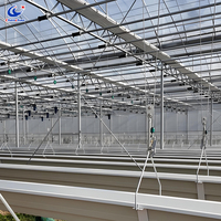 Bac de culture électrique réglable pour serre, pour la culture de tomates et de fraises