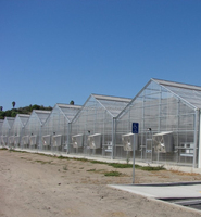 Multi-Span Polycarbonaat Kas Met Hydroponisch Systeem Nieuw Ontwerp Goot Verbonden Groot Formaat Voor Rozenbloemen Planten
