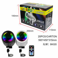 Projecteurs LED Mini Professionnels RGBW, Lampe de Projection pour Célébrations, Télécommande, CRI 90, Éclairage pour Mariages, Événements, Fêtes, Indice de Protection IP33