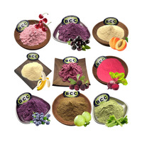 Poudre de fruits et légumes 100% naturelle, poudre de fruits lyophilisés biologique