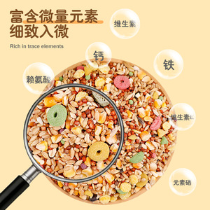 Nourriture pour hamsters à base de céréales mélangées 160g Riche en oligo-éléments pour hamsters - Product Image 1