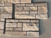 Carreaux de mur extérieur en pierre calcaire jaune, finition brute, durables