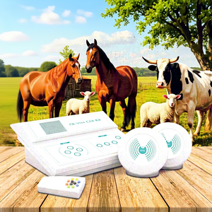 Dispositivo de Terapia de Salud y Bienestar 5 en 1 DeVita Combi P12 para Uso Doméstico con Certificación CE, Suministros RU - Product Image 1