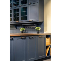 Armoires de cuisine RTA Shaker personnalisables et écologiques, parfaites pour la mise à niveau de la cuisine de la maison