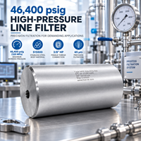 Filter Inline Tekanan Tinggi 46400 Psig 320MPa S15500 Baja Tahan Karat 65 Mikron 3/8 HP Ulir Betina Sistem Filtrasi Hidrolik