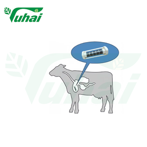 YUHAI nuova gabbia magnetica animale in lega di nichel per bovini e vitelli - Product Image 5