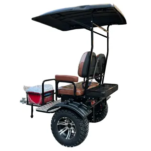 Carrinho de golfe com combinação de iluminação automotiva, carrinho de golfe de 2 lugares, marca brilhante, trailer