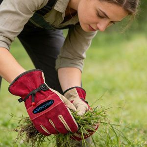 Guanti da Giardinaggio in Pelle di Vacchetta per Donne, Rinforzati sul Palmo, Resistenti all'Usura e Antiperforazione, per Lavoro e Sicurezza - Product Image 4