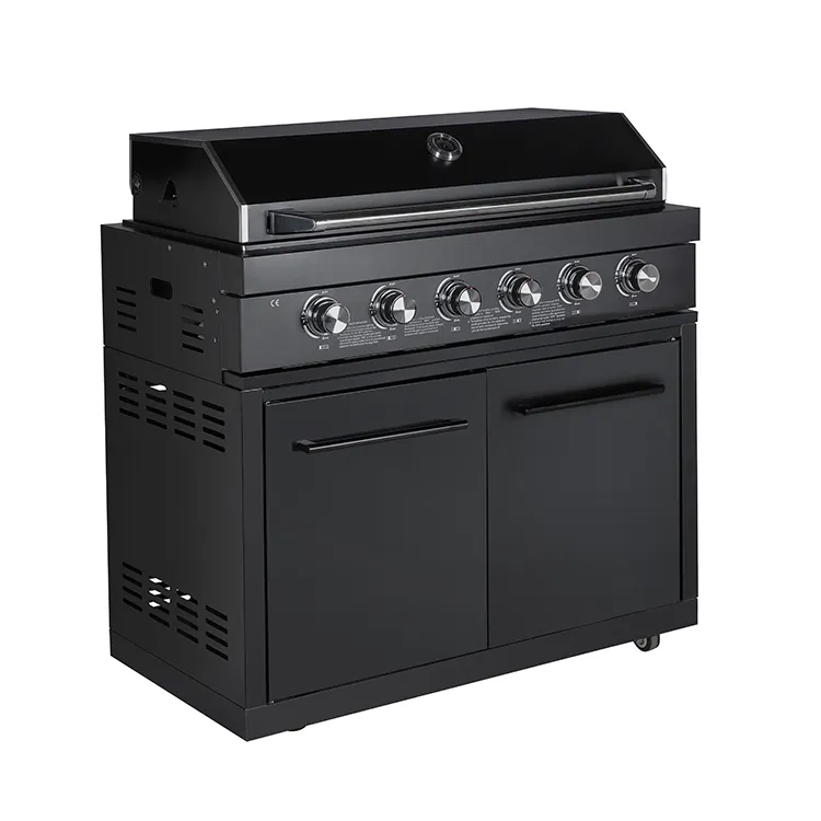 Thiết Kế Mới Đa Mục Đích Gas Grill Grills Đen Home Sử Dụng 6 Burner Bbq Với Cửa Đôi