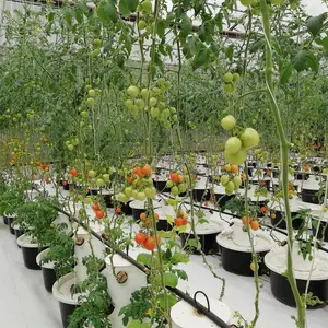 Garten vertikaler Anbau-Familien gebrauch Mini-Indoor-Wasserkultur-Anbau turm