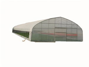 Serre <span class=keywords><strong>agricole</strong></span> en polytunnel en plastique, économique et compacte, à simple ou multi-chapelle, anti-goutte et anti-UV - Product Image 2