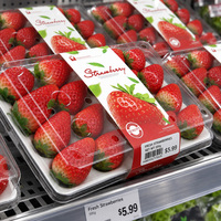 Transparante PET aardbeienbak met afneembaar deksel, 11, 15, 20 stuks, fruitverpakking voor bessen