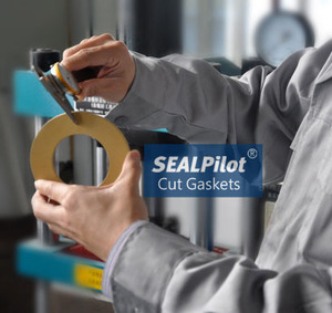 Thép không gỉ kim loại Gasket tùy chỉnh niêm phong nhôm Gasket phần số 12282820 & 12280941 cho động cơ khí <span class=keywords><strong>mwm</strong></span> - Product Image 3