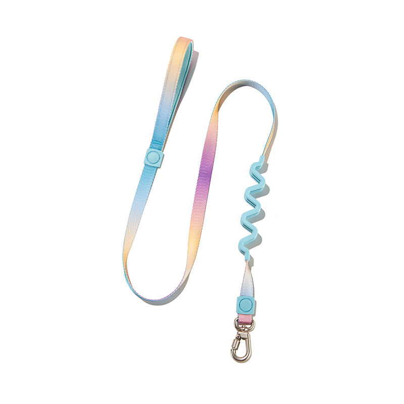 Purple gradient-leash