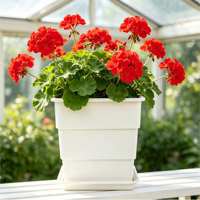 Pots à fleurs carrés en PP légers et durables avec trou de drainage, utilisation intérieure/extérieure, design moderne minimaliste, plantation de plantes d'extérieur