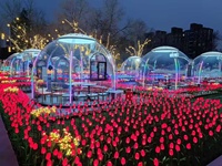 Rumah Prefabrikasi Bubble Dome, Kubah PC Transparan, Ringan, Hunian Sementara untuk Resepsi Proyek