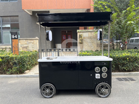 Chariot mobile commercial pour la vente de glaces, modèle 2025