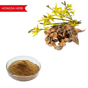 Groothandel Hoge Kwaliteit Chinese Kruiden <span class=keywords><strong>Forsythia</strong></span> <span class=keywords><strong>Extract</strong></span> 10:1 <span class=keywords><strong>Forsythia</strong></span> <span class=keywords><strong>Extract</strong></span> Poeder - Product Image 4