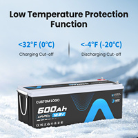 Batería de LiFePO4 de 12V 600Ah con BMS Inteligente de 300A y Bluetooth, Batería de 12.8V 300Ah para Autocaravana, Furgoneta Camper, Almacenamiento de Energía, Fuera de la Red