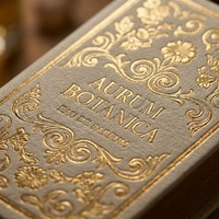 Caja de Perfume Magnética Personalizada con Logotipo, Empaque de Regalo Rígido e Inserto Ajustado para Botellas de Fragancia de Lujo