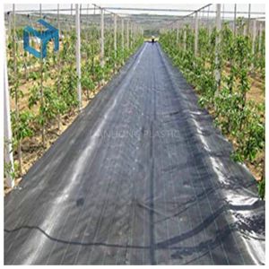Đánh giá tốt nhất nông nghiệp kiểm soát cỏ dại che phủ mặt đất cỏ dại Mat vườn dệt vải địa kỹ thuật kích thước khác nhau Sơn Đông nhà máy bán hàng trực tiếp - Product Image 2