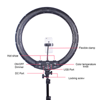 Ring Light Video 21 Inch untuk Fotografi, Pencahayaan 3000-6000K dengan Remote Control dan Tripod untuk Studio Makeup
