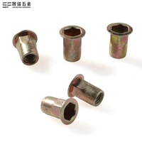 Rivet à tête dôme basse profilée, demi-hexagonal, à trou traversant, en acier doux, couleur or, revêtement zinc, pour la fabrication de tôles