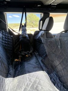 Housse de siège auto pour animaux de compagnie, hamac auto pour chien, coussin de protection pour siège arrière, extenseur de siège arrière à fond rigide, housse de siège auto imperméable pour chien - Product Image 6