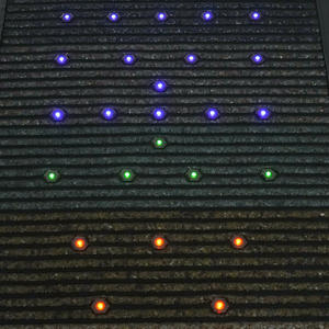 Tapis de biophotonique premium, produits de santé à ions négatifs, massage corporel complet, coussin chauffant pour les muscles, tapis chauffant en cristal naturel - Product Image 4