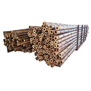 Varas de Bambú Vigifarm Iris de 2-3 Metros de Longitud y 0.3-0.5 Metros de Diámetro, Materiales de Bambú Natural Crudo para Construcción Estructural - Product Image 1