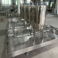 Filtro de Purificación de Líquidos Biofarmacéuticos, Filtración Estéril, Procesamiento Biofarmacéutico, Bomba SS316L, Motor PLC, Alta Precisión, Personalizado
