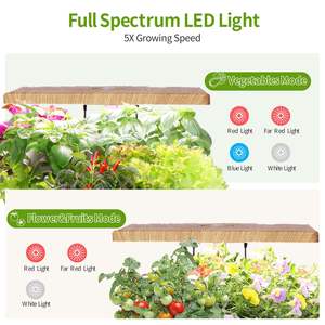 Système de semis durable d'usine pour la machine de plantation hydroponique intelligente de plante pour le plateau de semis à la maison pour les légumes - Product Image 2
