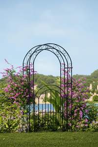 Arche de jardin extérieure de villa, arc de commutateur d'isolation de jardin de rose en métal, porte de vigne <span class=keywords><strong>grimpante</strong></span> de plante de gloire de matin de ferronnerie - Product Image 2