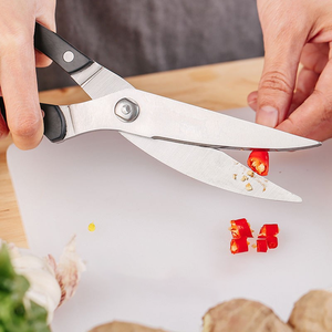 <span class=keywords><strong>Ciseaux</strong></span> <span class=keywords><strong>à</strong></span> <span class=keywords><strong>volaille</strong></span> de cuisine en acier 3Cr13 de haute qualité, meilleurs <span class=keywords><strong>ciseaux</strong></span> <span class=keywords><strong>à</strong></span> poulet robustes avec poignée en ABS, lame en acier inoxydable - Product Image 5