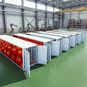 Soluciones Hidropónicas Fijas Básicas: Bancas de Cultivo con Ciclo de Agua de Flujo y Reflujo, Bomba de Ajuste Automático de Agua y Sistema de Extracción Simple - Product Image 1