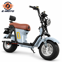 Scooter électrique deux places à grandes roues et pneus larges, modèle de mobilité urbaine pour adultes, destiné aux concessionnaires et aux flottes de location