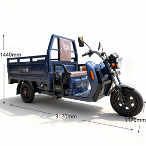 Triciclo de 60V de Alta Capacidad de Carga y Carrocería Abierta para Transporte, en Oferta - Product Image 2