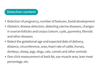 Échographe vétérinaire portable économique pour le diagnostic de gestation chez le bétail, scanner ultrasonore pour porcs, moutons et animaux