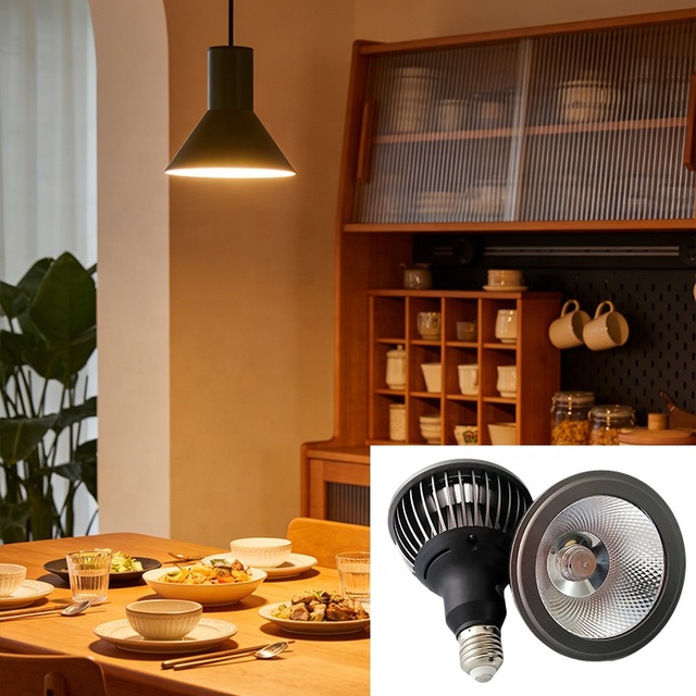 Commercial Lighting 20W COB LED Dimmable E27 Par38 Die-casting Aluminum Housing for Stage Retail Display Spotlight
