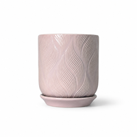 Pot de plante en céramique pour succulentes et cactus, design moderne et simple, petit format, pour la décoration du bureau ou du balcon