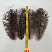 Plumes d'autruche brunes naturelles 30-35 cm, provenance Afrique du Sud, pour décoration de fêtes, loisirs créatifs et fournitures artistiques