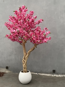 Offre Spéciale personnalisé intérieur maison artificielle fleur de cerisier haute qualité rose blanc plastique bois populaire sur <span class=keywords><strong>TikTok</strong></span> et YouTube - Product Image 5