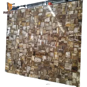 Luxury Fossil Stone Petrified Wood Slabs For Countertops
